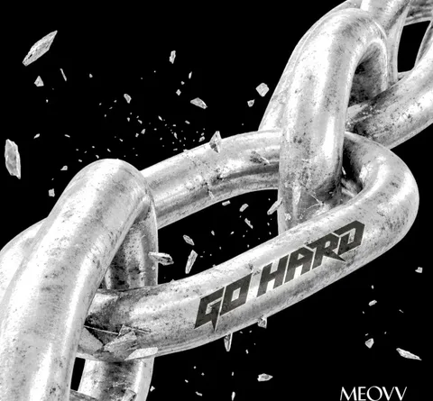 GO HARD cover