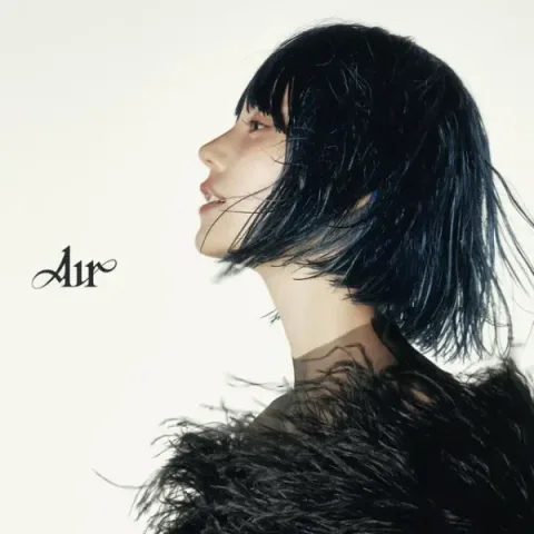AIR cover