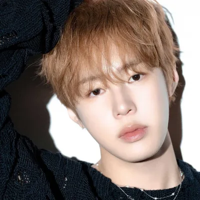 Ha Sung Woon