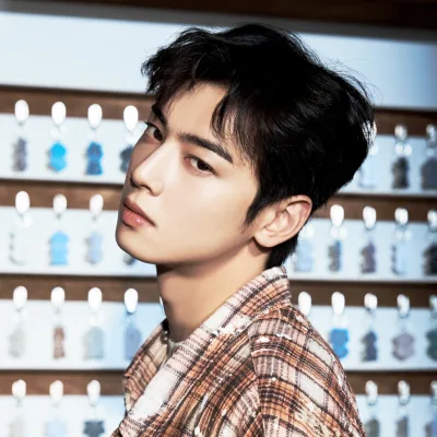 Cha Eunwoo