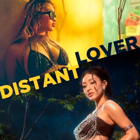 Distant Lover cover