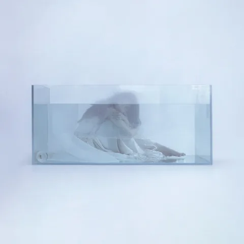 jellyfish cover